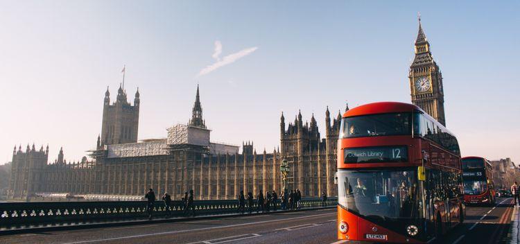 Fees & Travel